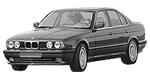 BMW E34 C210C Fault Code